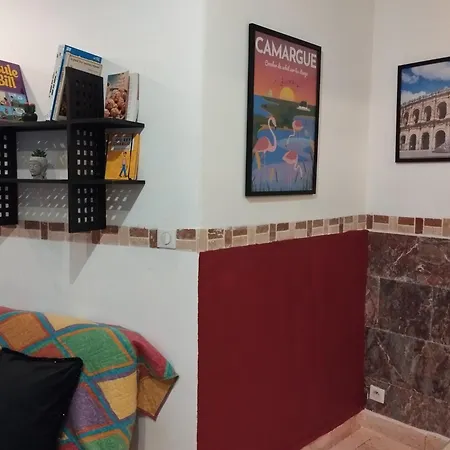 Apartament Tres Bel Cosy Et Chaleureux A Nîmes